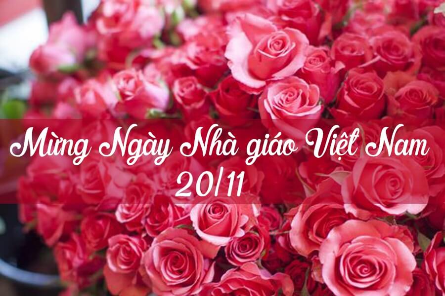 Tổng hợp 30+ ảnh đẹp mừng ngày Nhà giáo Việt Nam 81 ảnh đẹp nhà giáo việt nam 20/11