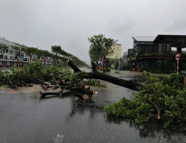 Quảng Nam hoang tàn sau trận càn quét của siêu bão Noru - anh huong cua bao noru 1