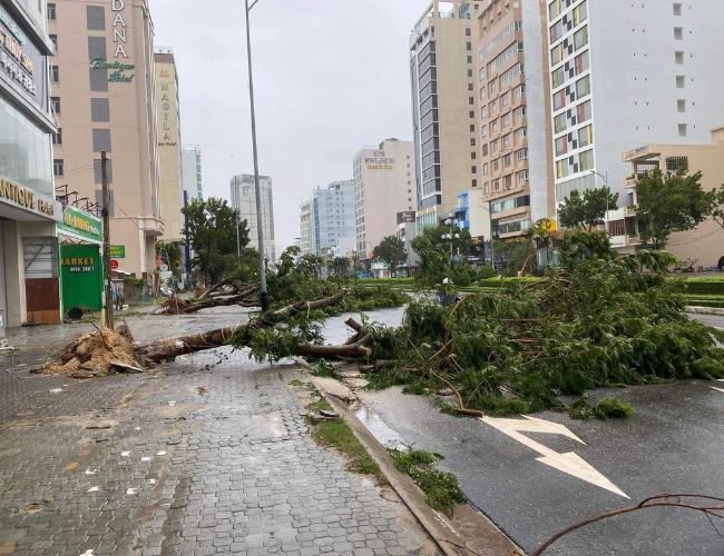 Quảng Nam hoang tàn sau trận càn quét của siêu bão Noru 7 ảnh hưởng của bão noru