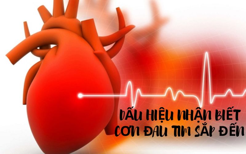 Cảnh báo các dấu hiệu nhận biết cơn đau tim sắp xảy ra không nên bỏ lỡ 9 dấu hiệu nhận biết cơn đau tim