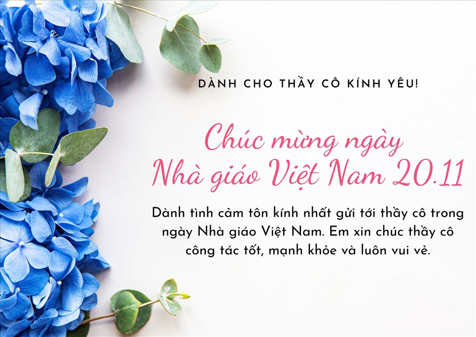 Tổng hợp 30+ ảnh đẹp mừng ngày Nhà giáo Việt Nam 104 thiệp chúc mừng 20/11 ý nghĩa