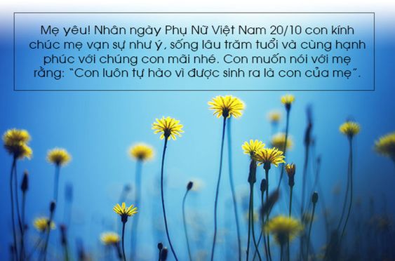 20+ mẫu thiệp chúc mừng ý nghĩa cho ngày Phụ nữ Việt Nam 20/10 6 mẫu thiệp 20/10