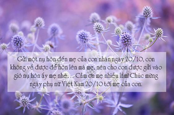20+ mẫu thiệp chúc mừng ý nghĩa cho ngày Phụ nữ Việt Nam 20/10 11 thiệp đẹp ngày 20/10