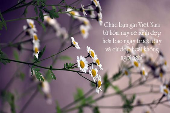 20+ mẫu thiệp chúc mừng ý nghĩa cho ngày Phụ nữ Việt Nam 20/10 8 thiệp ý nghĩa 20/10