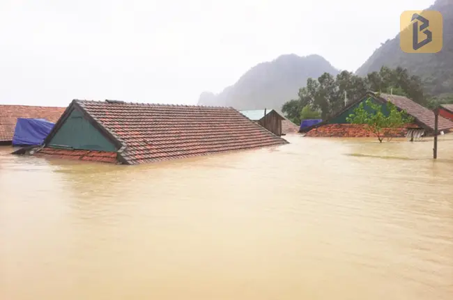 Bão Nesat có gây mưa lũ cho miền Trung? 6 bão nesat có gây mưa lũ cho miền trung
