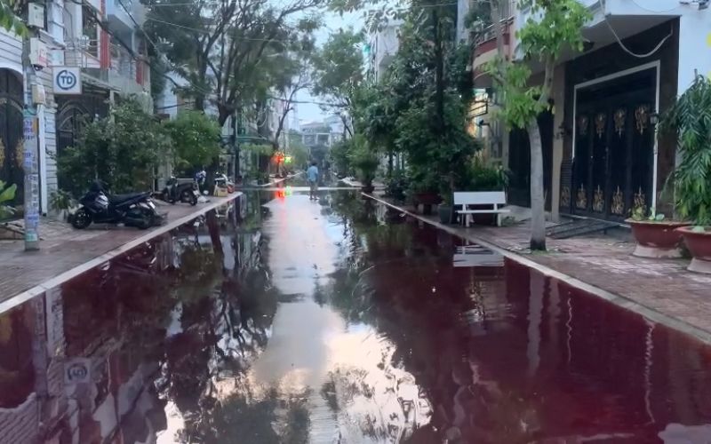 Nguyên nhân màu nước đỏ bất thường ở khu dân cư ở TP HCM sau cơn mưa 6 Nguyên nhân màu nước đỏ bất thường ở khu dân cư ở TP HCM sau cơn mưa