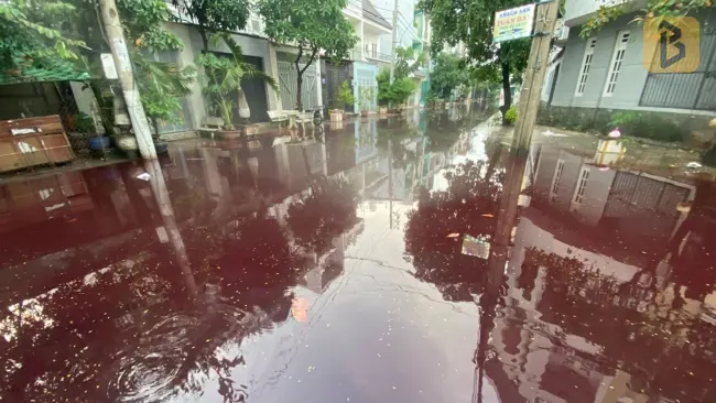 Nguyên nhân màu nước đỏ bất thường ở khu dân cư ở TP HCM sau cơn mưa 7 rùng mình khu dân cư bị ngập nước