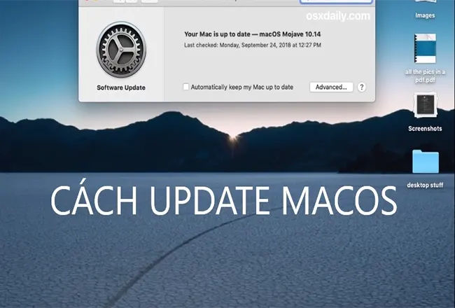 Hướng dẫn update MacOS, kiểm tra bản cập nhật